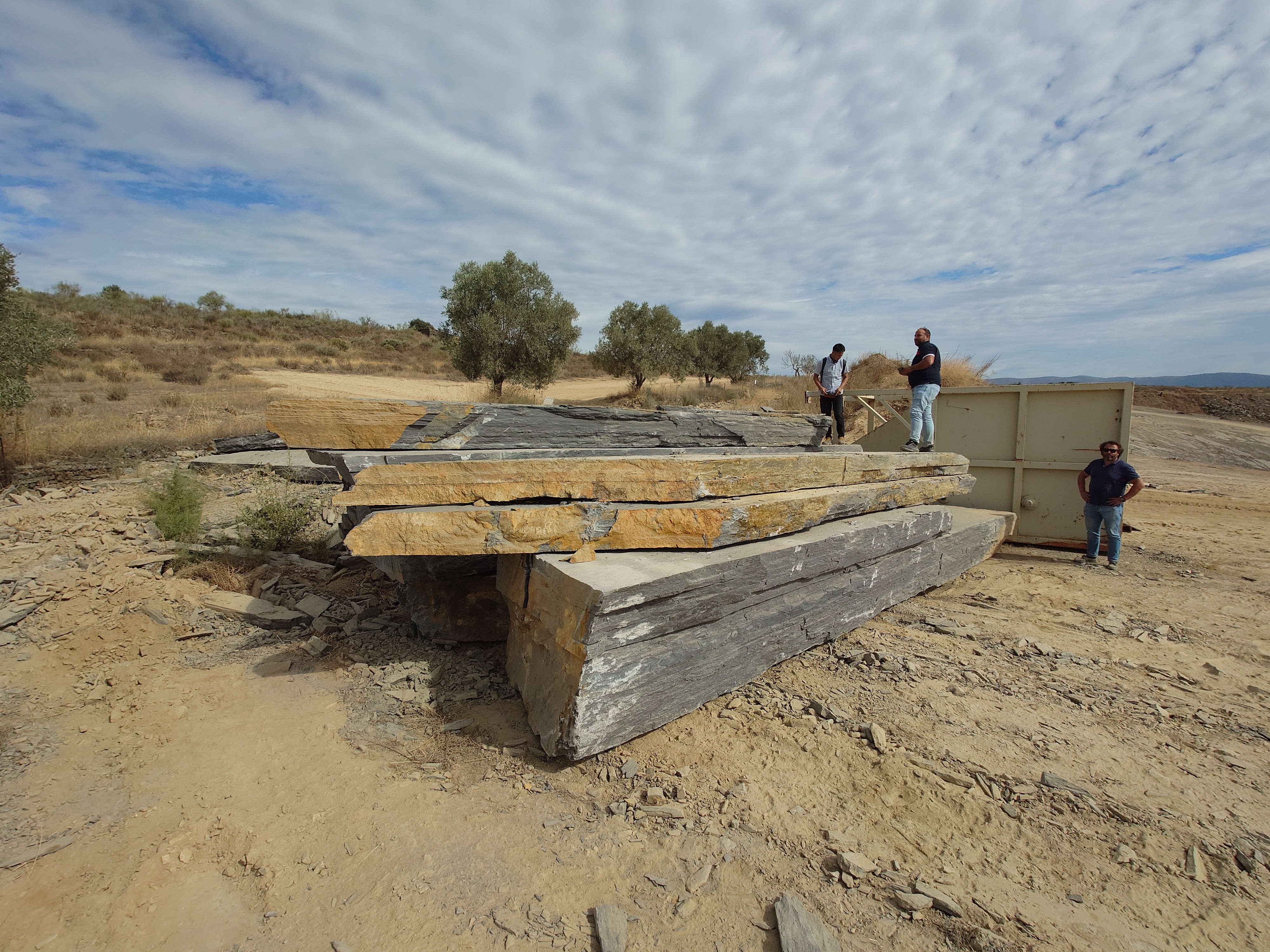 Hz21pazecarznzsb05glzo4m3w5ltgvgiwg0t2ud